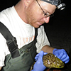 Brent Sigafus swapping a bullfrog.