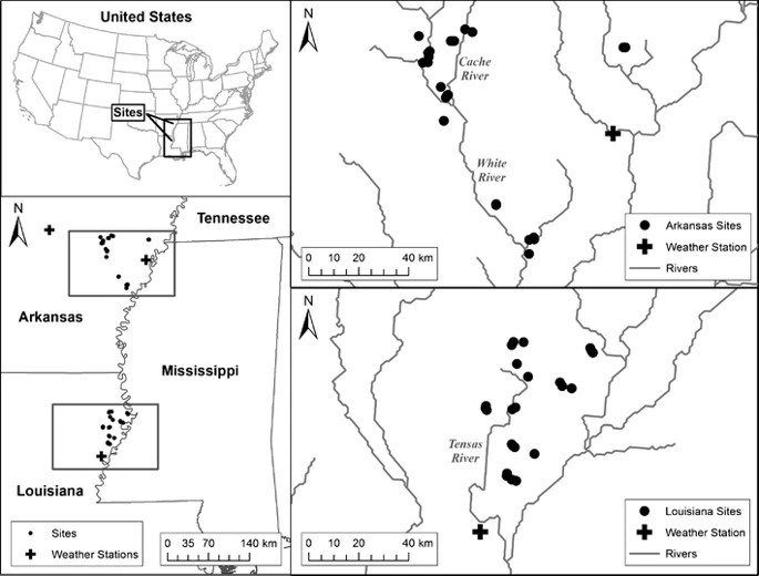 Locations of study sites in the Tensas River Basin of Louisiana and the lower White and Cache River Basins of Arkansas, USA. Symbols represent sites at which automated recorders were deployed to monitor calling anuran amphibians, as well as locations of weather stations from which archived National Oceanic and Atmospheric Administration precipitation records were used to derive cumulative rainfall during each sampling week