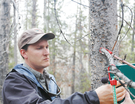 USGS scientist Blake Hossack installs an automated call recorder<br />Photo by: Erin Muths