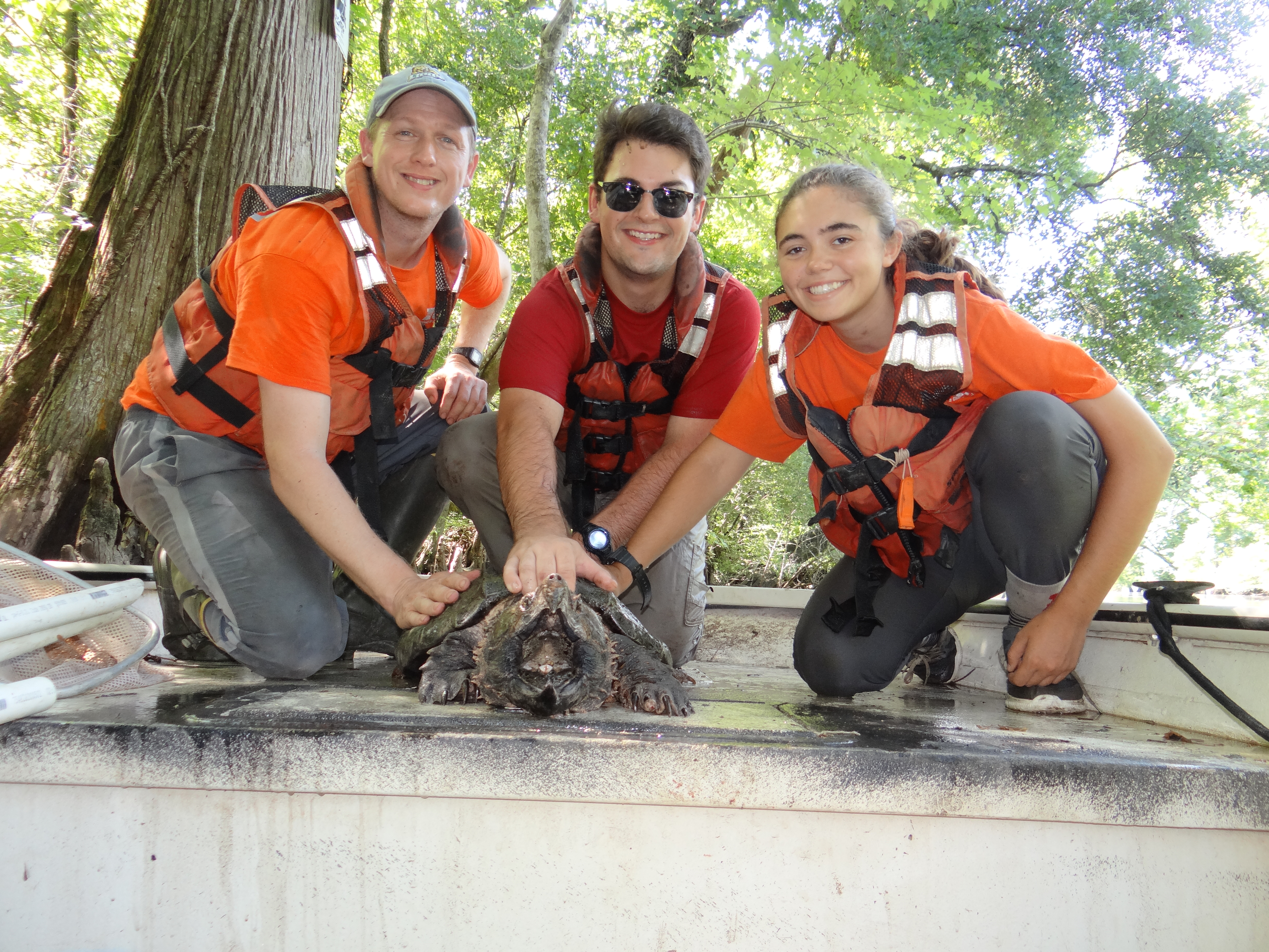 Brad Glorioso, Raymond Kidder and Brittany Maldonado pose with a captured Alligator Snapping Turtle before release<br />Photo by: Brad M. Glorioso