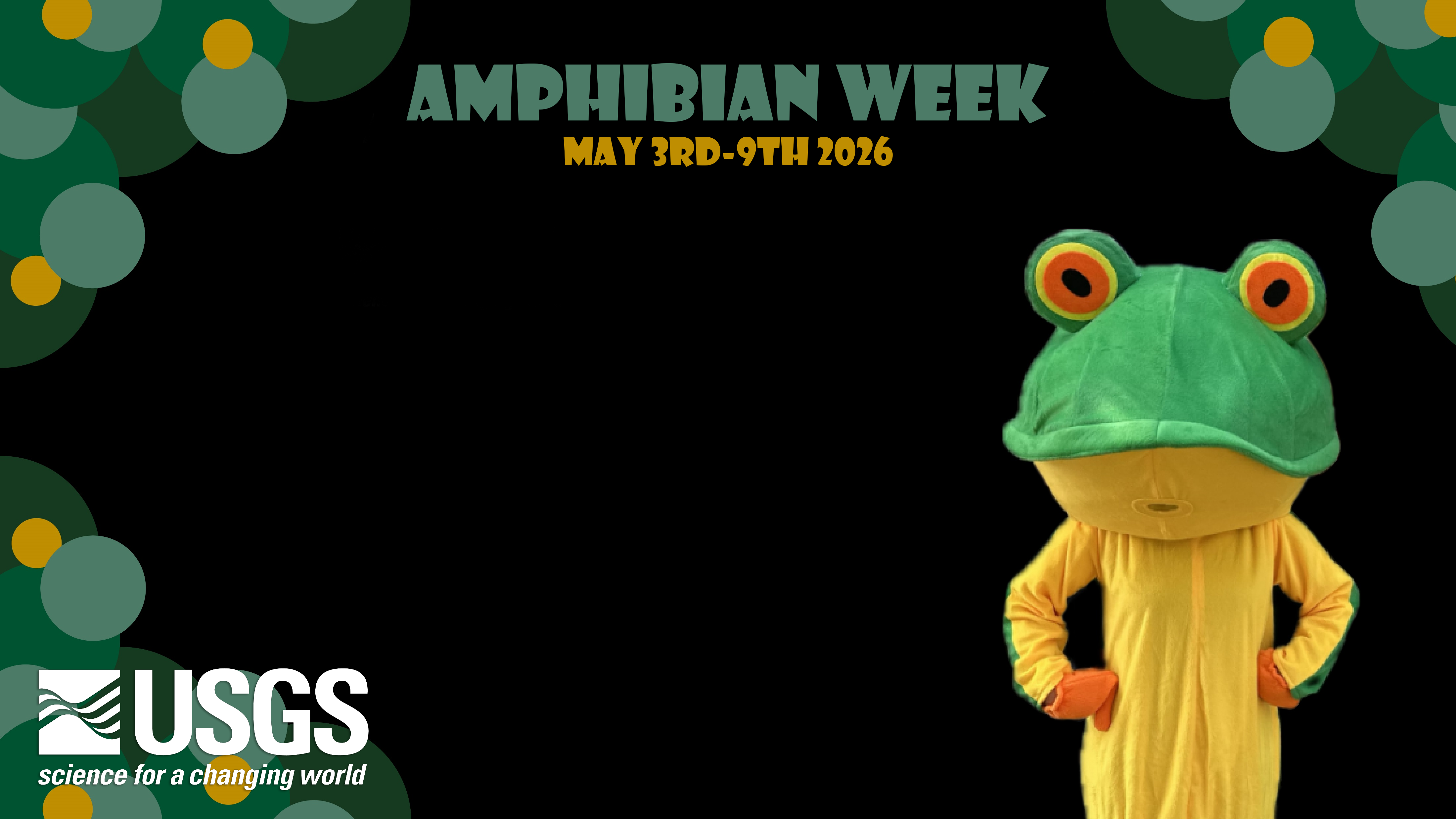 Amphibian Week 2026 webcam background