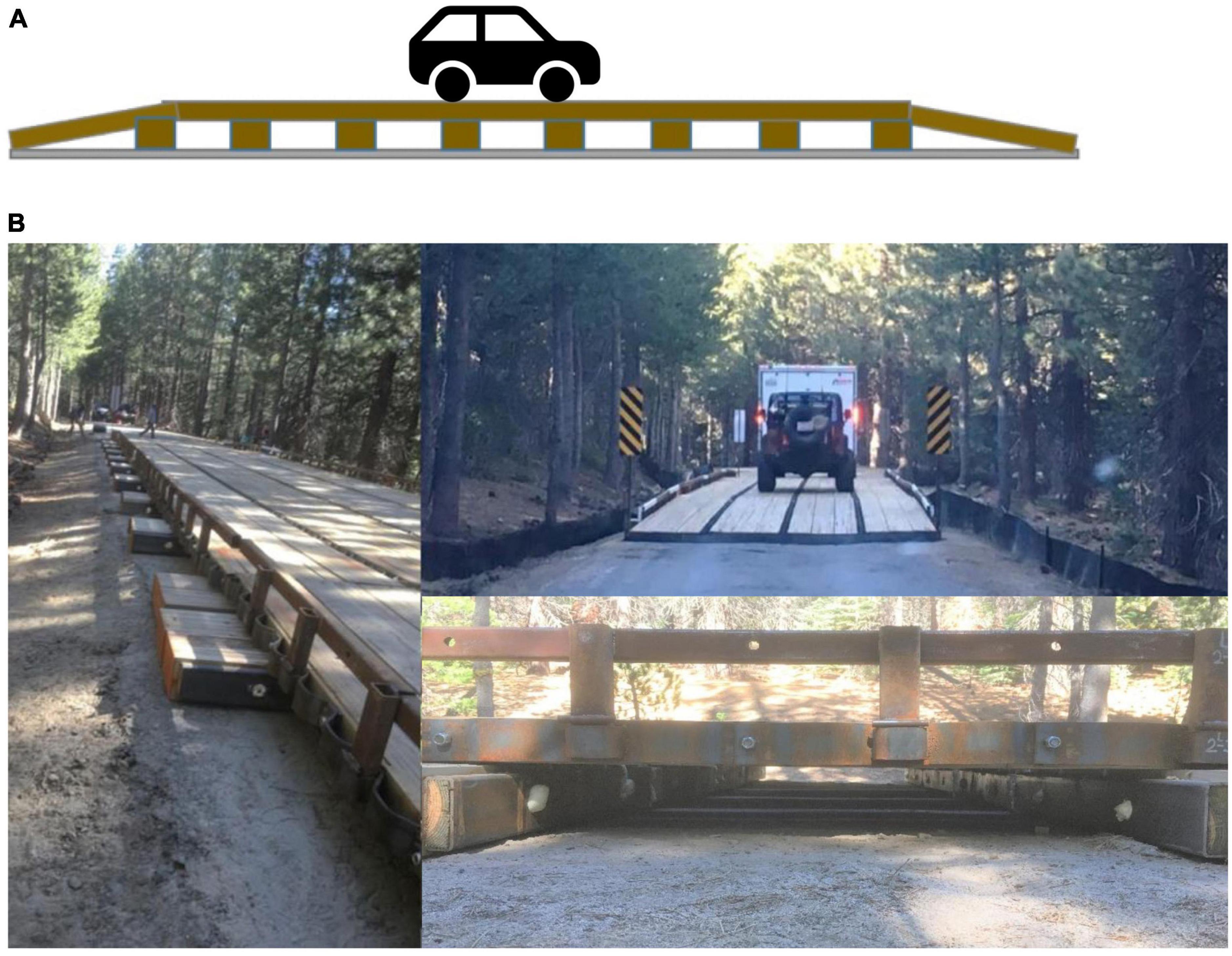 Vehicles travel over elevated road segment in Sierra National Forest, Fresno County, CA, USA.