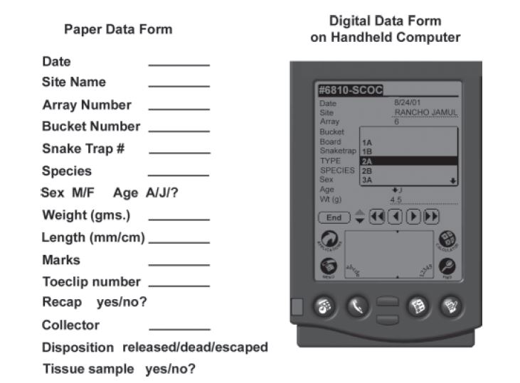 PDA versus Paper form for data collection.<br />Photo by: Carlton Rochester, USGS